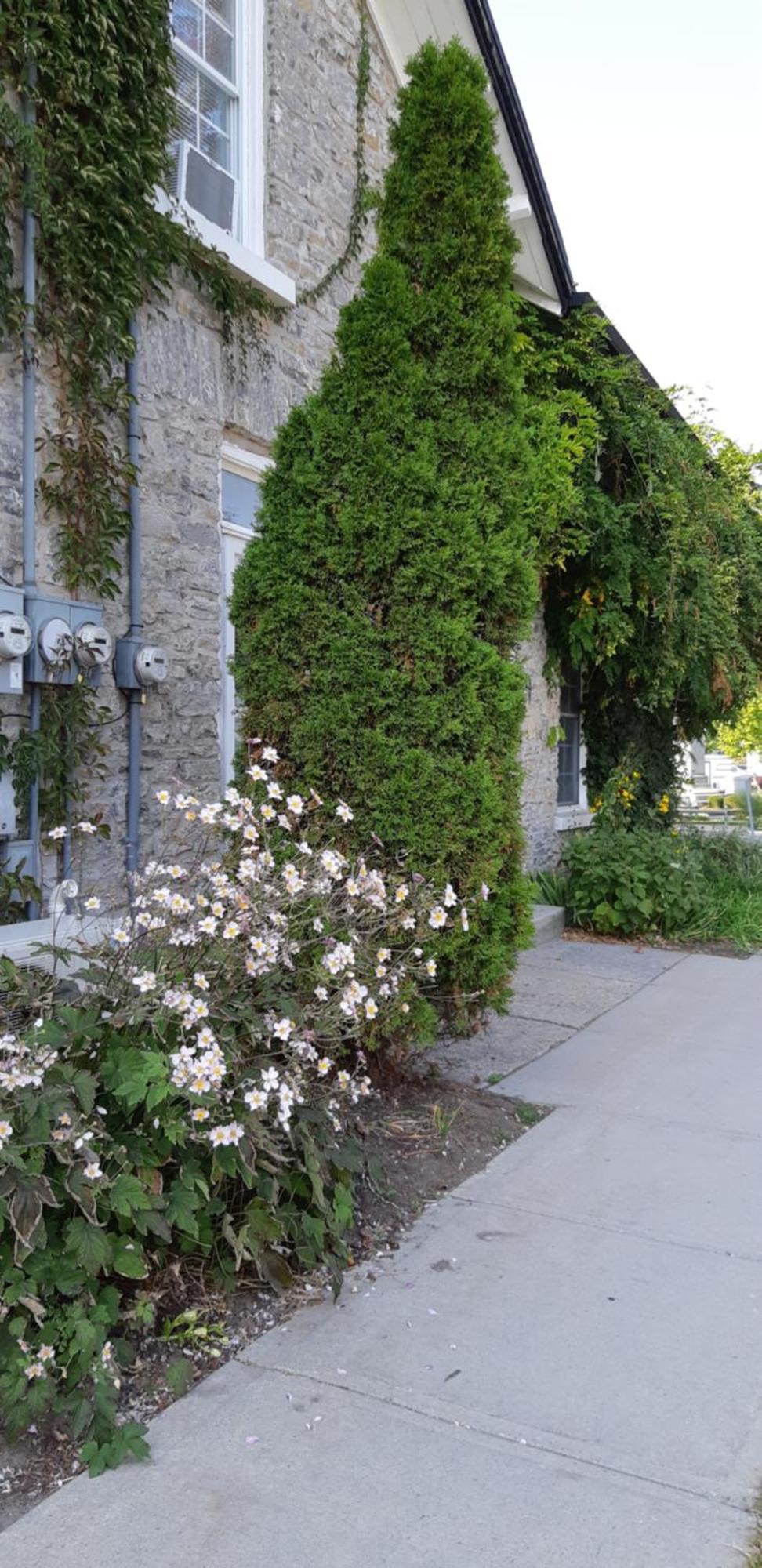 ピクトン Stone Carriage Houseヴィラ エクステリア 写真