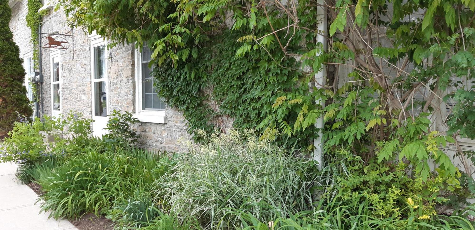 ピクトン Stone Carriage Houseヴィラ エクステリア 写真